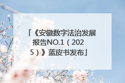 《安徽数字法治发展报告NO.1（2025）》蓝皮书发布