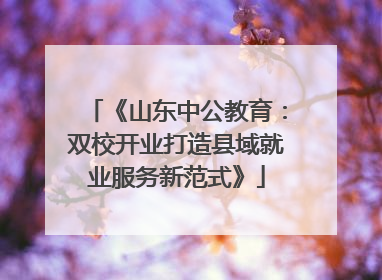 《山东中公教育：双校开业打造县域就业服务新范式》
