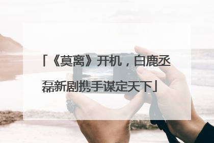 《莫离》开机，白鹿丞磊新剧携手谋定天下