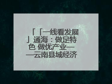 「一线看发展」通海：做足特色 做优产业——云南县域经济样本观察之二
