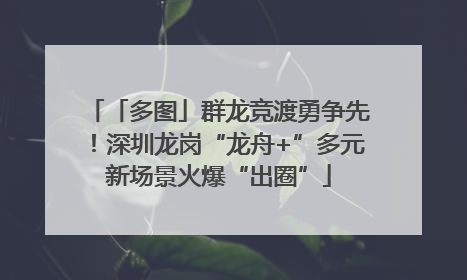 「多图」群龙竞渡勇争先！深圳龙岗“龙舟+”多元新场景火爆“出圈”