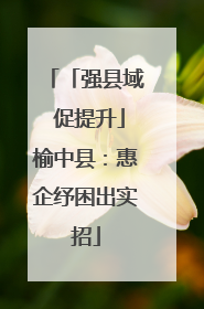 「强县域 促提升」榆中县：惠企纾困出实招