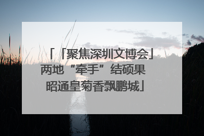 「聚焦深圳文博会」两地“牵手”结硕果 昭通皇菊香飘鹏城