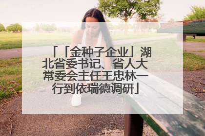 「金种子企业」湖北省委书记、省人大常委会主任王忠林一行到依瑞德调研