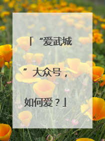 “爱武城”大众号，如何爱？
