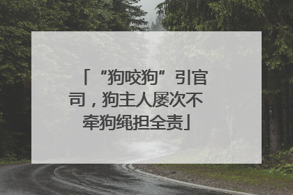 “狗咬狗”引官司，狗主人屡次不牵狗绳担全责