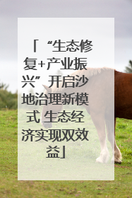“生态修复+产业振兴”开启沙地治理新模式 生态经济实现双效益