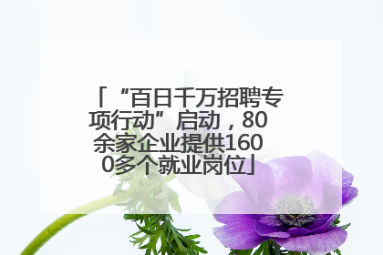 “百日千万招聘专项行动”启动，80余家企业提供1600多个就业岗位