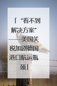“看不到解决方案”——美国关税加剧德国港口航运瓶颈