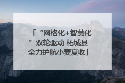 “网格化+智慧化”双轮驱动 柘城县全力护航小麦夏收