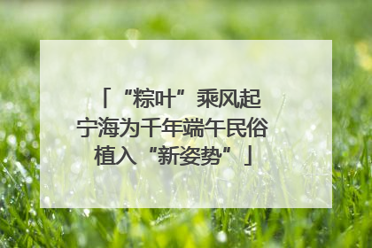 “粽叶”乘风起 宁海为千年端午民俗植入“新姿势”