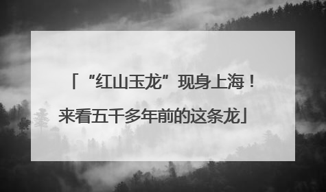 “红山玉龙”现身上海！来看五千多年前的这条龙