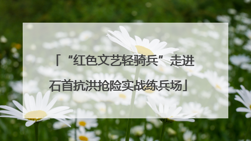 “红色文艺轻骑兵”走进石首抗洪抢险实战练兵场