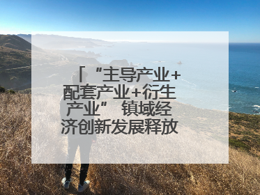 “主导产业+配套产业+衍生产业” 镇域经济创新发展释放强劲发展动能