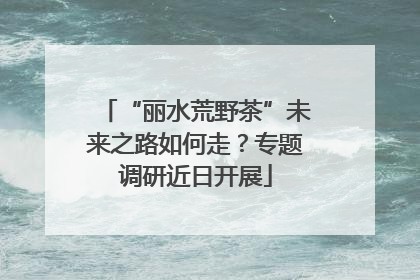 “丽水荒野茶”未来之路如何走？专题调研近日开展