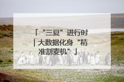 “三夏”进行时｜大数据化身“精准割麦机”