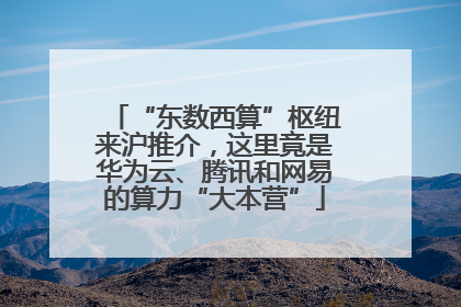 “东数西算”枢纽来沪推介，这里竟是华为云、腾讯和网易的算力“大本营”