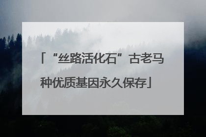 “丝路活化石”古老马种优质基因永久保存