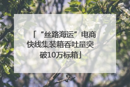 “丝路海运”电商快线集装箱吞吐量突破10万标箱