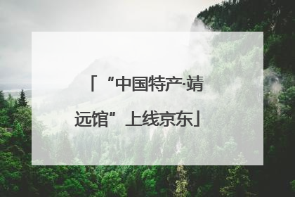 “中国特产·靖远馆”上线京东
