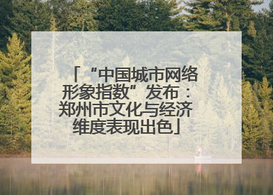 “中国城市网络形象指数”发布：郑州市文化与经济维度表现出色