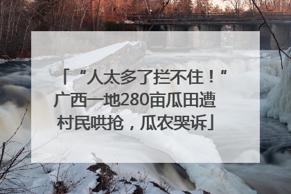 “人太多了拦不住！”广西一地280亩瓜田遭村民哄抢，瓜农哭诉