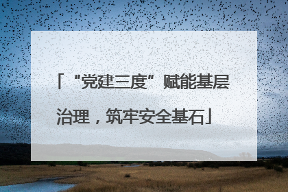 “党建三度”赋能基层治理，筑牢安全基石