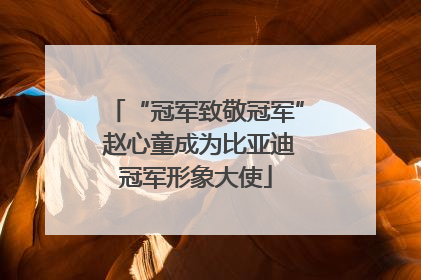 “冠军致敬冠军” 赵心童成为比亚迪冠军形象大使