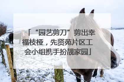 “园艺剪刀”剪出幸福枝桠，先贤苑片区工会小组携手扮靓家园