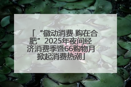 “徽动消费 购在合肥”2025年夜间经济消费季暨66购物月掀起消费热潮