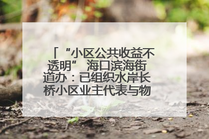 “小区公共收益不透明” 海口滨海街道办：已组织水岸长桥小区业主代表与物业进行座谈