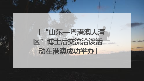 “山东—粤港澳大湾区”博士后交流洽谈活动在港澳成功举办