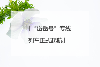 “岱岳号”专线列车正式起航