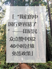 “我们的中国行更容易了”——印尼民众点赞中国240小时过境免签政策