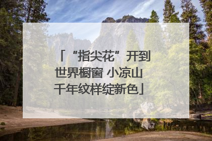 “指尖花”开到世界橱窗 小凉山千年纹样绽新色