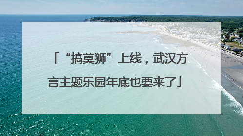 “搞莫狮”上线，武汉方言主题乐园年底也要来了