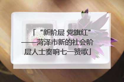 “新阶层 党旗红”——菏泽市新的社会阶层人士奏响七一赞歌