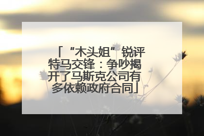 “木头姐”锐评特马交锋：争吵揭开了马斯克公司有多依赖政府合同
