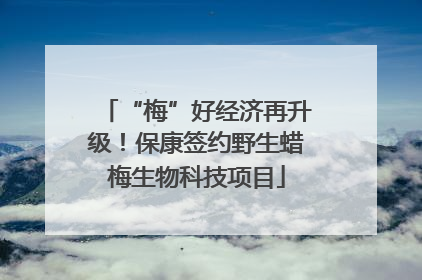 “梅”好经济再升级！保康签约野生蜡梅生物科技项目
