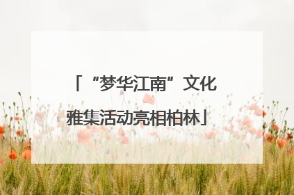“梦华江南”文化雅集活动亮相柏林
