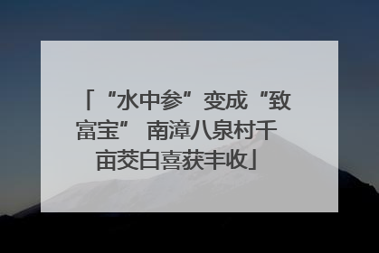 “水中参”变成“致富宝” 南漳八泉村千亩茭白喜获丰收