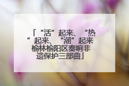 “活”起来、“热”起来、“潮”起来 榆林榆阳区奏响非遗保护三部曲