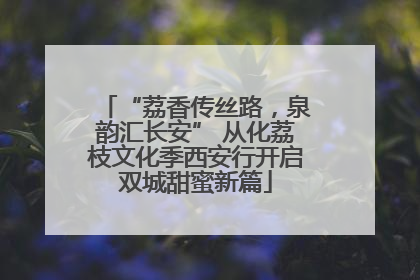 “荔香传丝路，泉韵汇长安” 从化荔枝文化季西安行开启双城甜蜜新篇