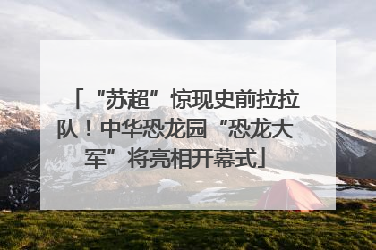 “苏超”惊现史前拉拉队！中华恐龙园“恐龙大军”将亮相开幕式