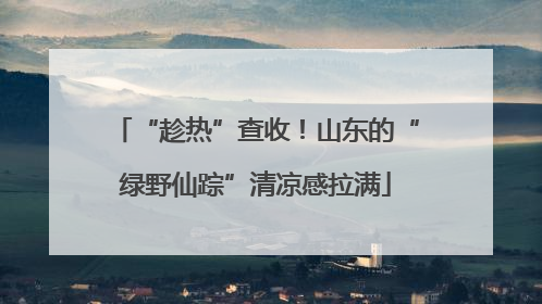 “趁热”查收！山东的“绿野仙踪”清凉感拉满