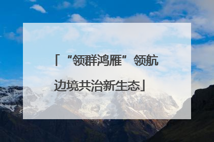 “领群鸿雁”领航边境共治新生态