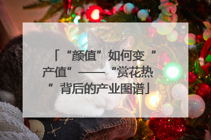 “颜值”如何变“产值”——“赏花热”背后的产业图谱
