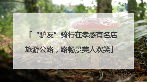 “驴友”骑行在孝感有名店旅游公路，路畅景美人欢笑