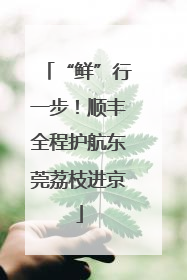 “鲜”行一步！顺丰全程护航东莞荔枝进京