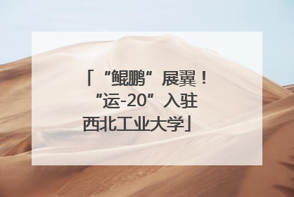 “鲲鹏”展翼！“运-20”入驻西北工业大学